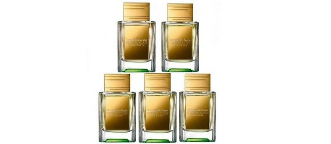 Ermenegildo Zegna: Elements of Man – новая мужская парфюмерная линейка